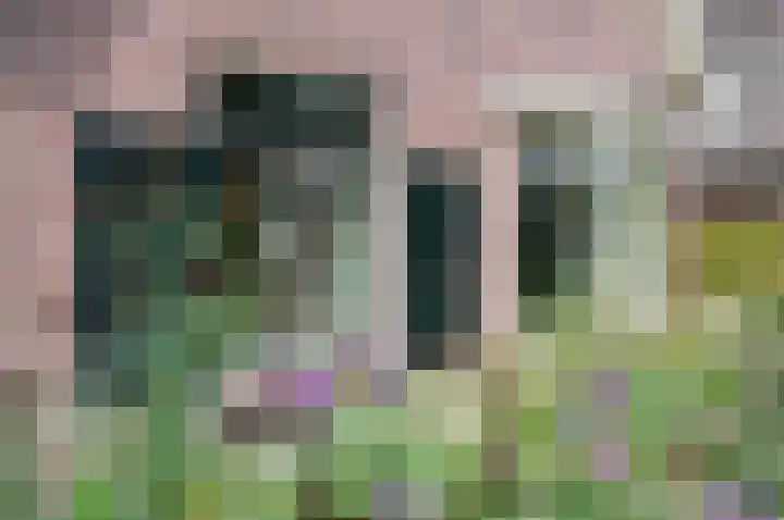 Zelhemseweg 12 Hengelo (Gld) thumbnail 6