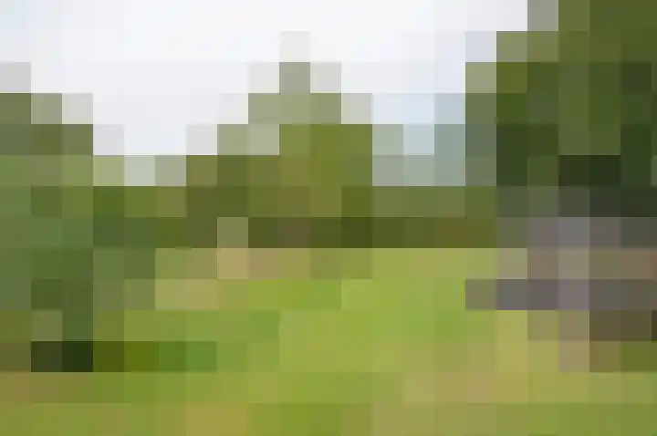 Zelhemseweg 12 Hengelo (Gld) thumbnail 65
