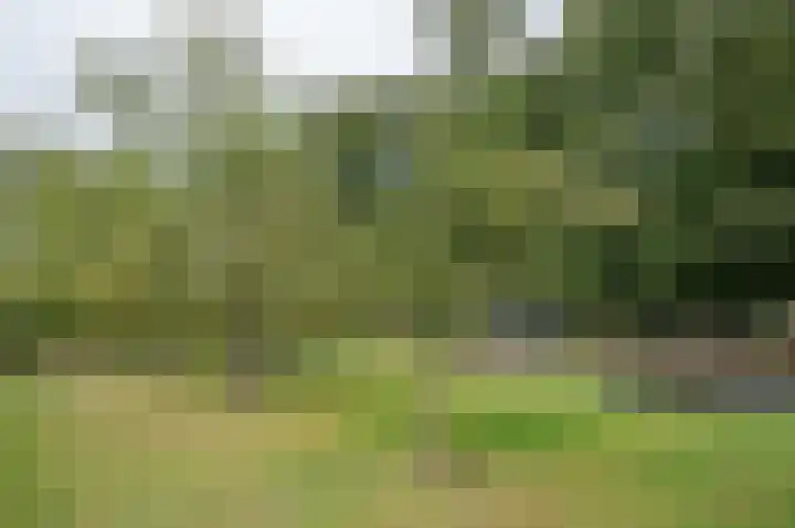 Zelhemseweg 12 Hengelo (Gld) thumbnail 66