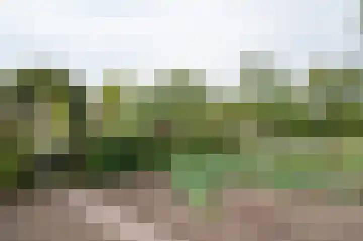 Zelhemseweg 12 Hengelo (Gld) thumbnail 70