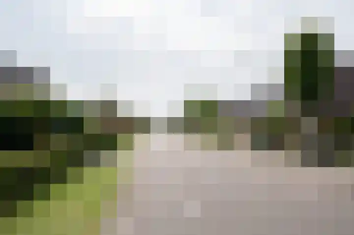 Zelhemseweg 12 Hengelo (Gld) thumbnail 71