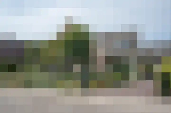 Zelhemseweg 12 Hengelo (Gld) thumbnail 85