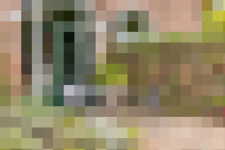 Zelhemseweg 2 Hummelo thumbnail 10