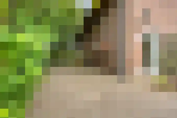 Zelhemseweg 2 Hummelo thumbnail 11