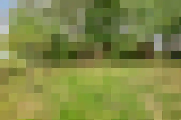 Zelhemseweg 2 Hummelo thumbnail 12