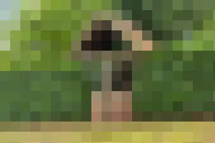 Zelhemseweg 2 Hummelo thumbnail 13
