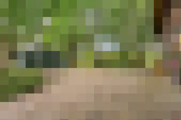 Zelhemseweg 2 Hummelo thumbnail 14