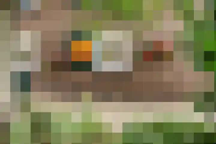 Zelhemseweg 2 Hummelo thumbnail 15