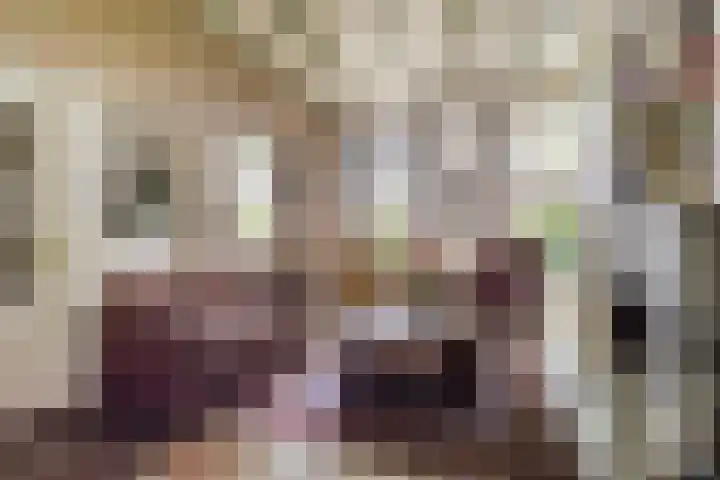 Zelhemseweg 2 Hummelo thumbnail 19
