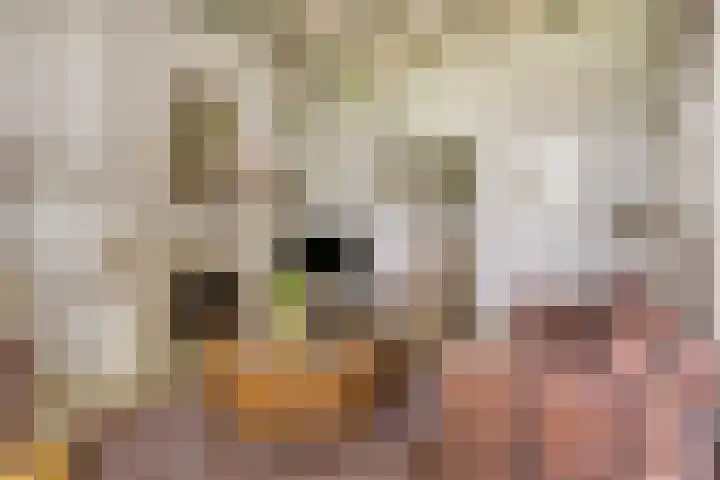 Zelhemseweg 2 Hummelo thumbnail 20