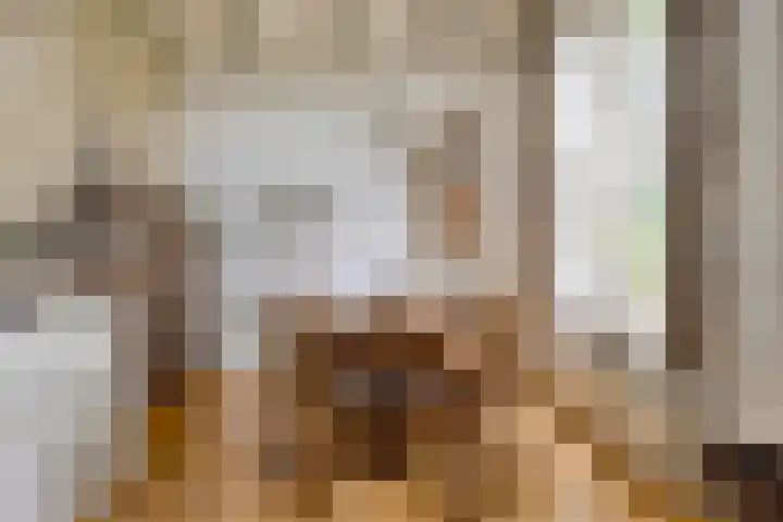 Zelhemseweg 2 Hummelo thumbnail 22