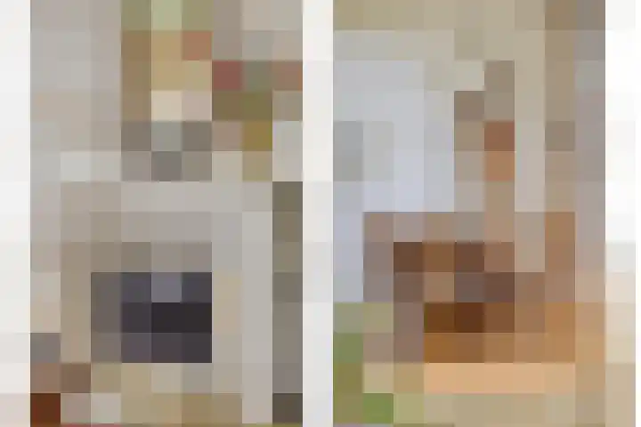 Zelhemseweg 2 Hummelo thumbnail 24