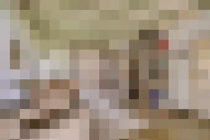 Zelhemseweg 2 Hummelo thumbnail 26