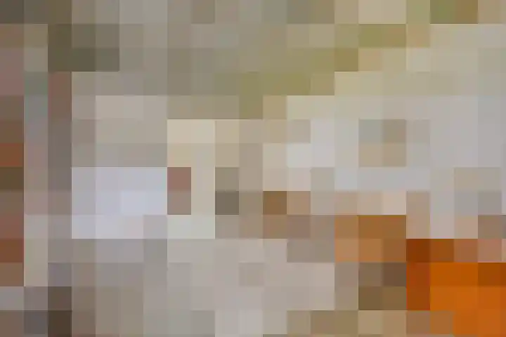 Zelhemseweg 2 Hummelo thumbnail 27