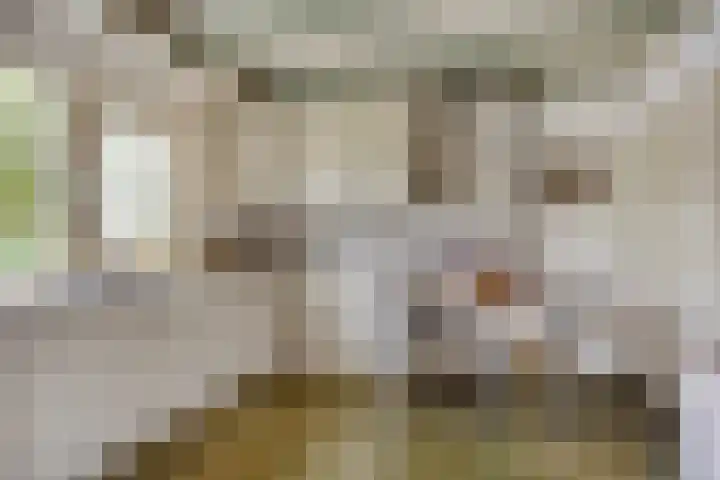 Zelhemseweg 2 Hummelo thumbnail 28