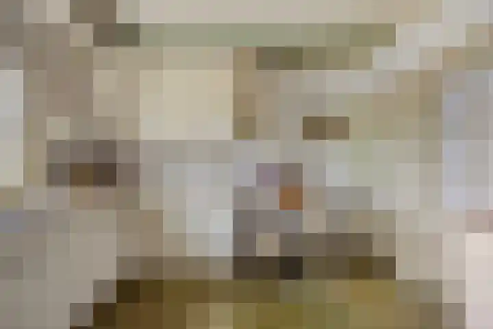 Zelhemseweg 2 Hummelo thumbnail 29