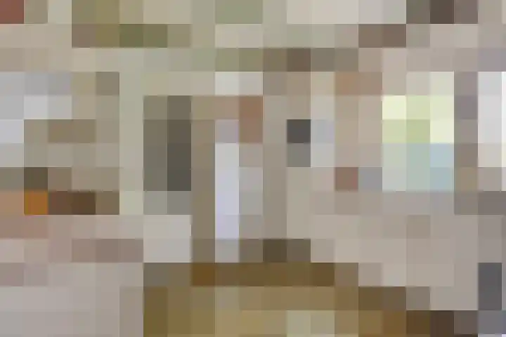 Zelhemseweg 2 Hummelo thumbnail 30