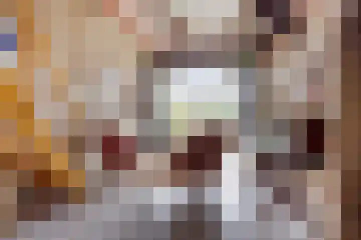 Zelhemseweg 2 Hummelo thumbnail 32