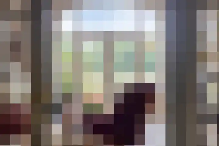 Zelhemseweg 2 Hummelo thumbnail 34