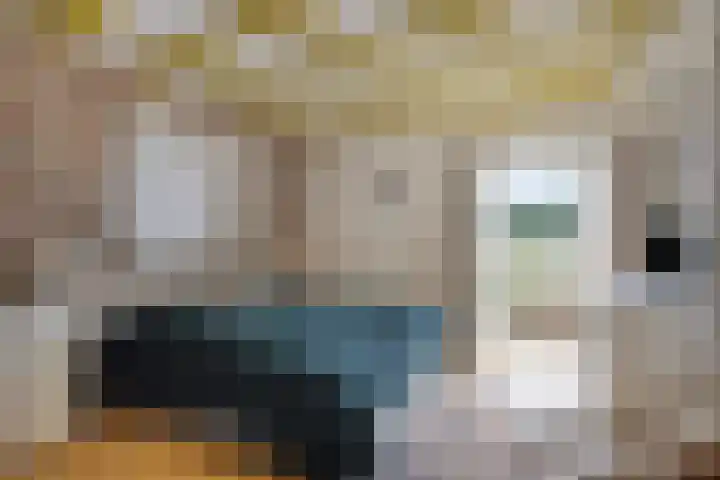 Zelhemseweg 2 Hummelo thumbnail 36