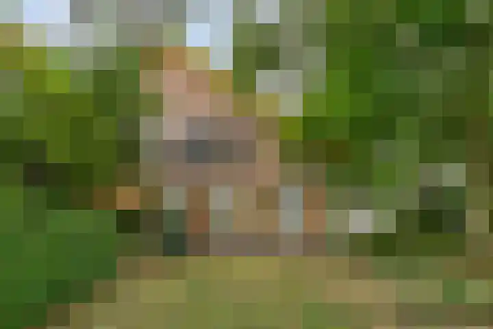 Zelhemseweg 2 Hummelo thumbnail 4