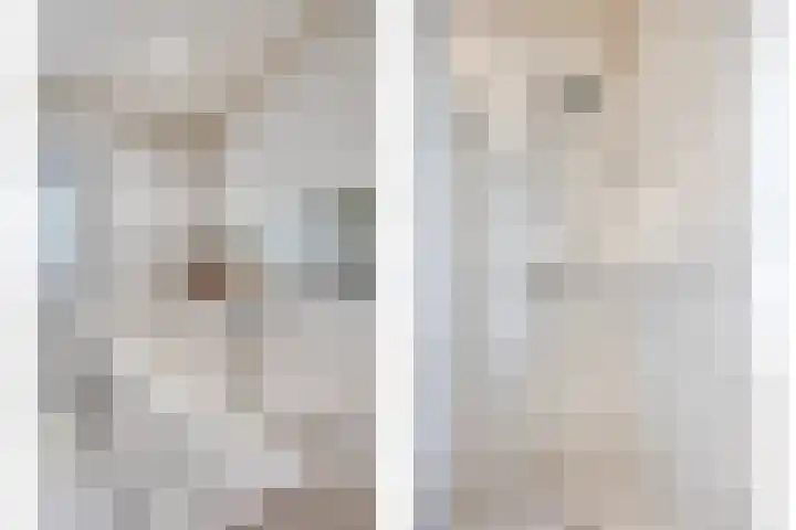 Zelhemseweg 2 Hummelo thumbnail 41