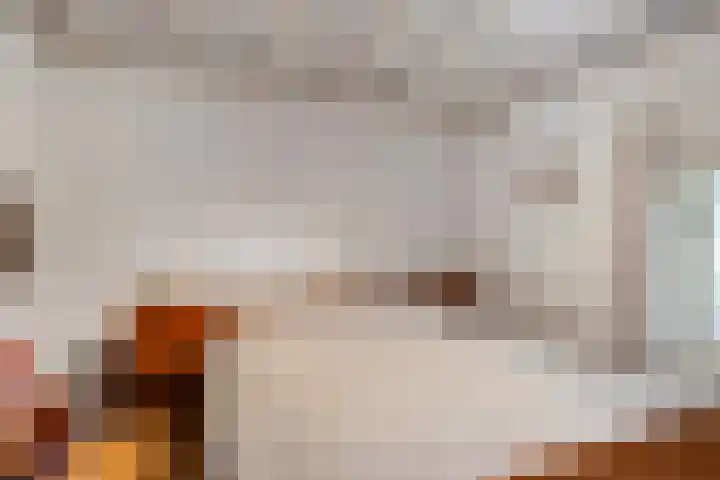 Zelhemseweg 2 Hummelo thumbnail 42