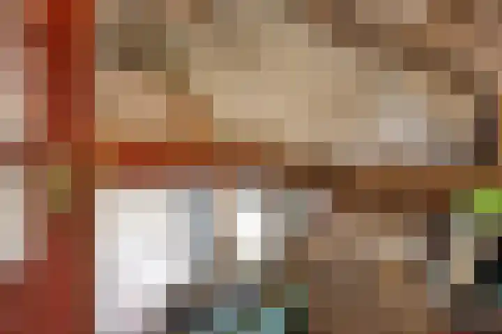 Zelhemseweg 2 Hummelo thumbnail 45