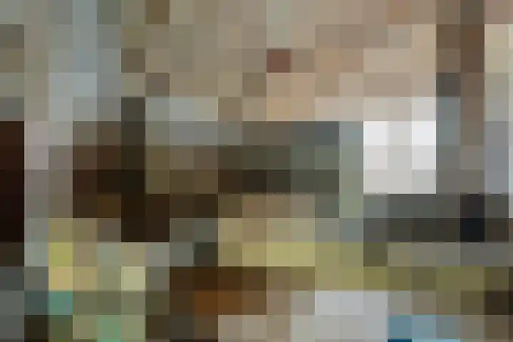 Zelhemseweg 2 Hummelo thumbnail 47