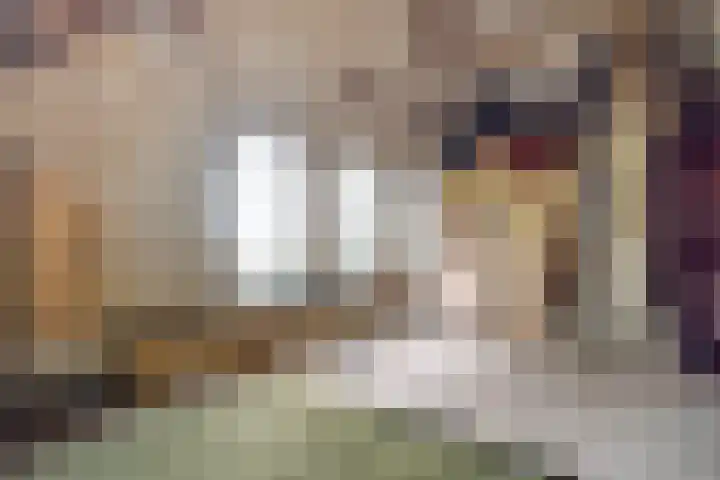 Zelhemseweg 2 Hummelo thumbnail 48