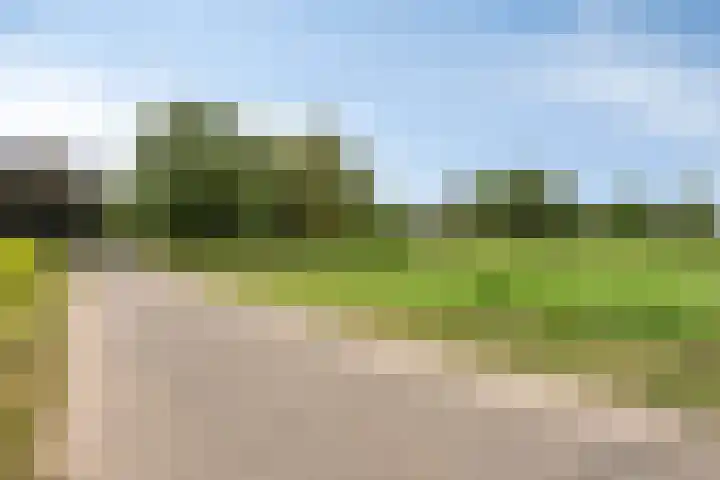 Zelhemseweg 2 Hummelo thumbnail 5