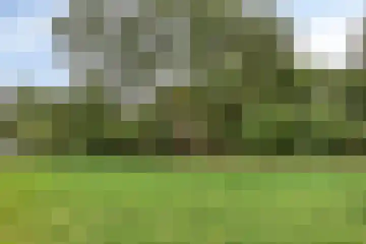 Zelhemseweg 2 Hummelo thumbnail 50
