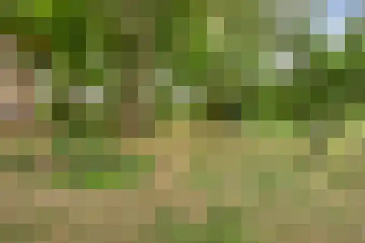 Zelhemseweg 2 Hummelo thumbnail 52