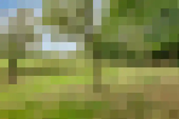 Zelhemseweg 2 Hummelo thumbnail 53