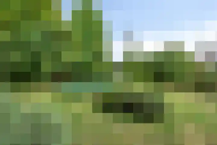 Zelhemseweg 2 Hummelo thumbnail 54