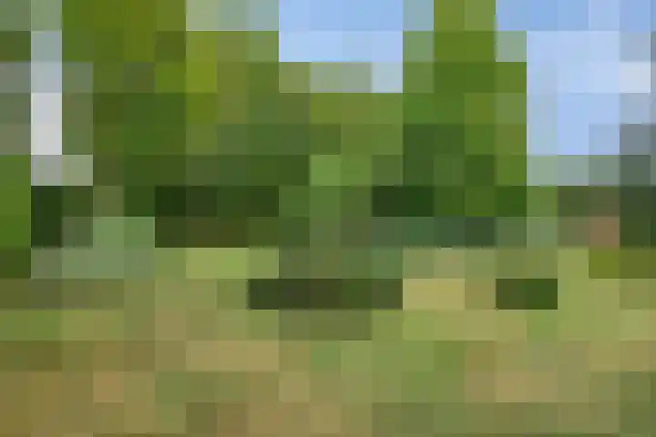Zelhemseweg 2 Hummelo thumbnail 55
