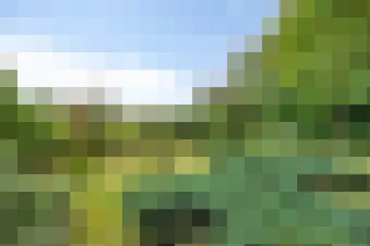 Zelhemseweg 2 Hummelo thumbnail 56