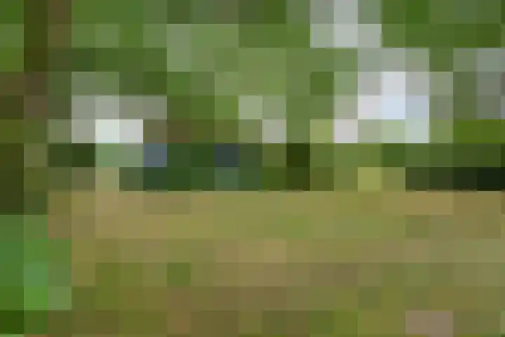 Zelhemseweg 2 Hummelo thumbnail 57