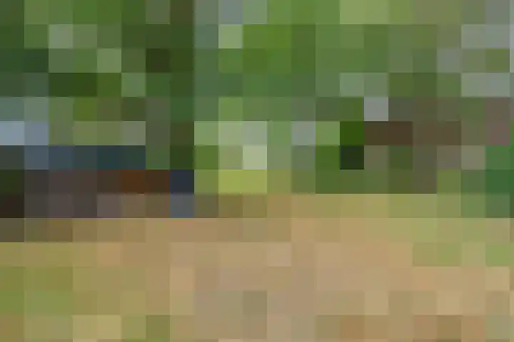Zelhemseweg 2 Hummelo thumbnail 58