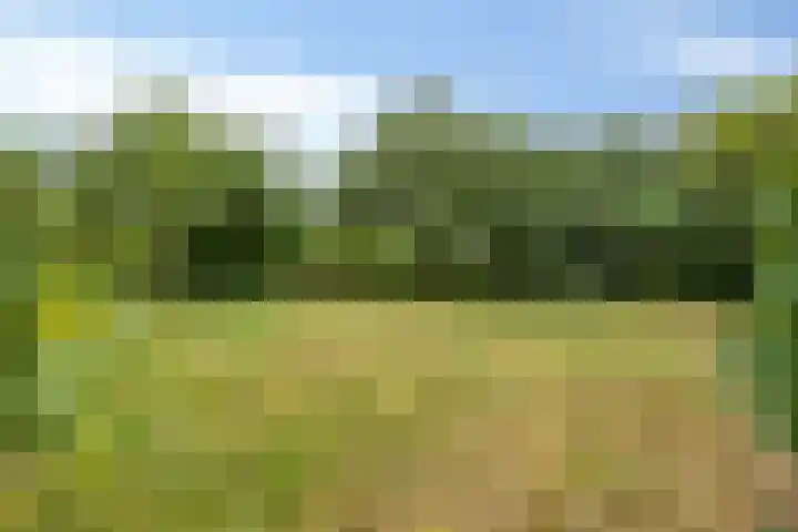 Zelhemseweg 2 Hummelo thumbnail 59