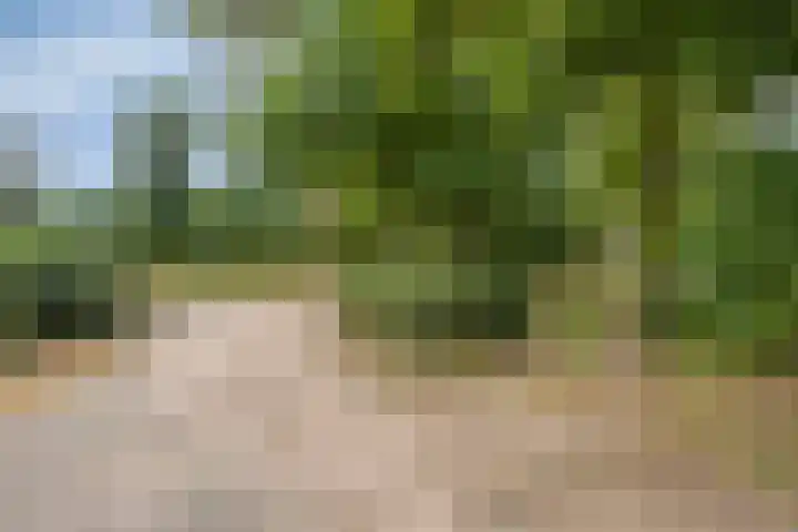Zelhemseweg 2 Hummelo thumbnail 6