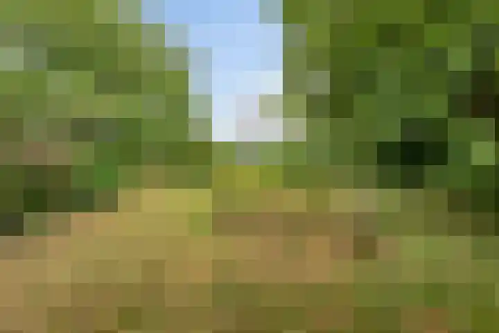 Zelhemseweg 2 Hummelo thumbnail 60
