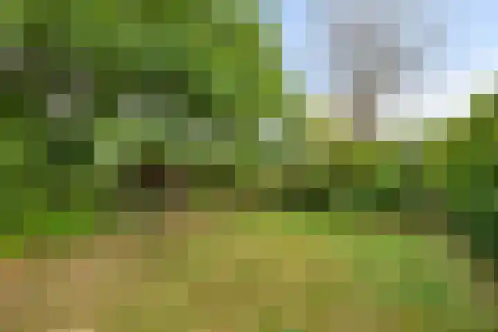 Zelhemseweg 2 Hummelo thumbnail 61