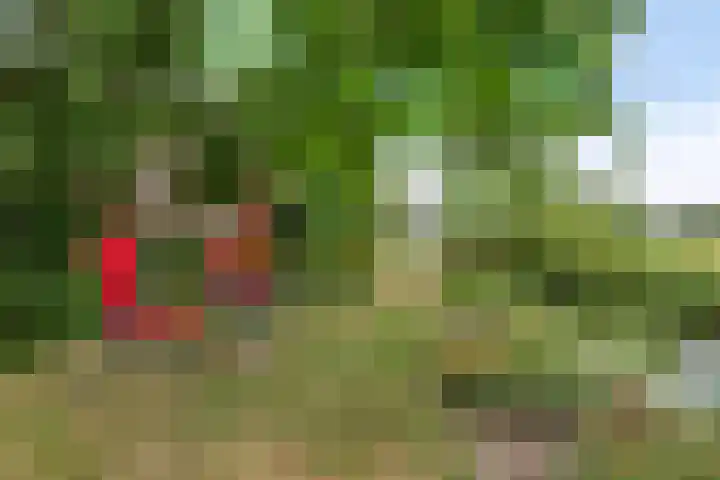 Zelhemseweg 2 Hummelo thumbnail 63