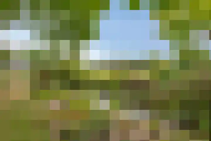 Zelhemseweg 2 Hummelo thumbnail 64