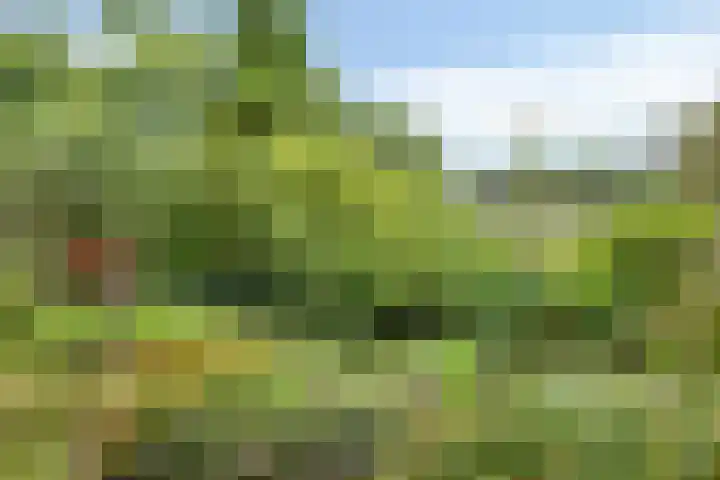 Zelhemseweg 2 Hummelo thumbnail 65