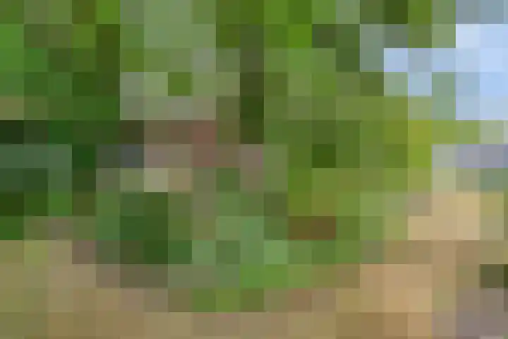 Zelhemseweg 2 Hummelo thumbnail 67