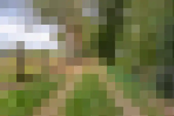 Zelhemseweg 2 Hummelo thumbnail 7