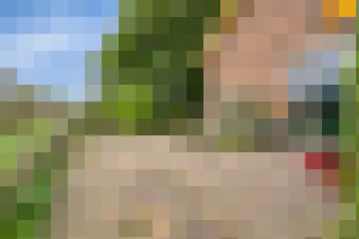 Zelhemseweg 2 Hummelo thumbnail 8