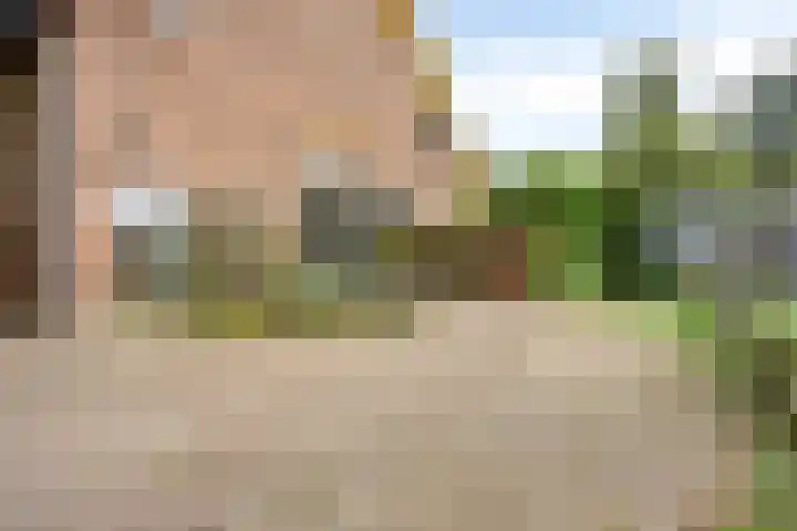 Zelhemseweg 2 Hummelo thumbnail 9